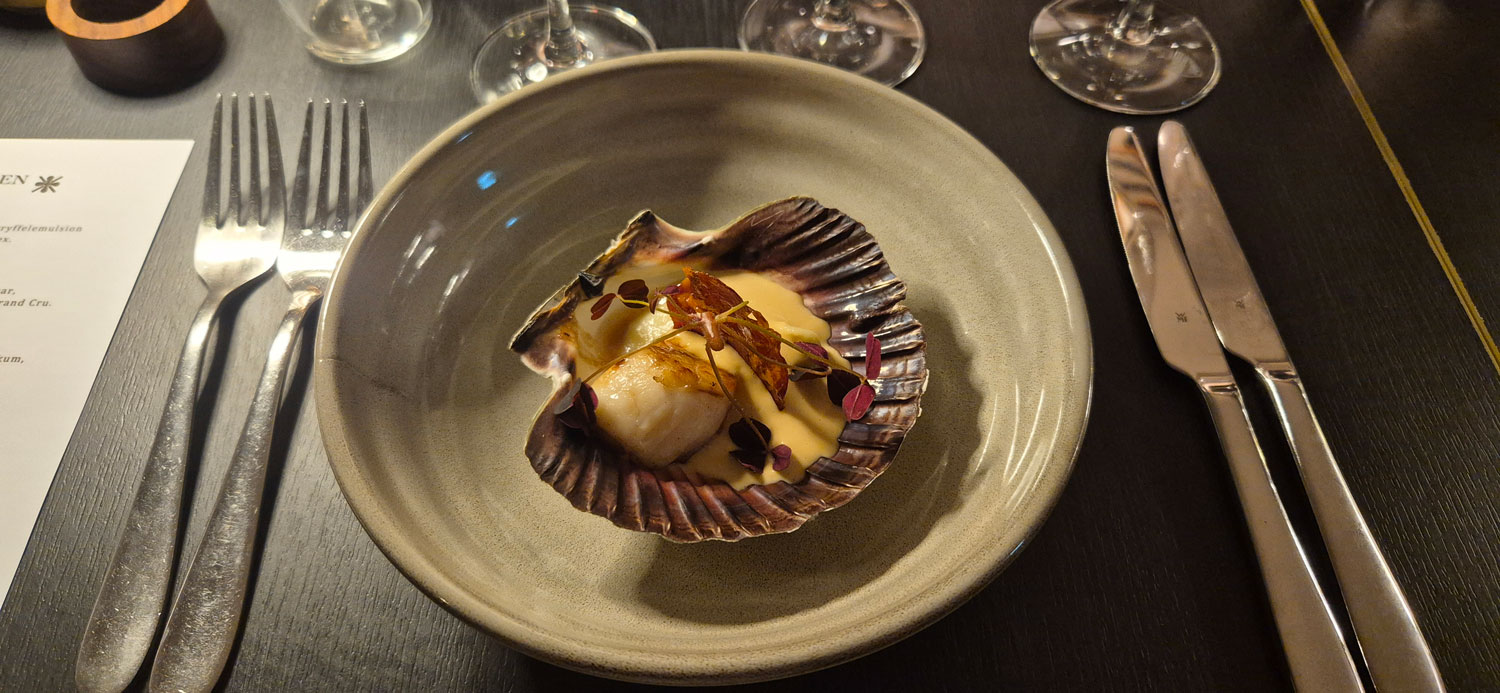 Kammussla i sitt skal